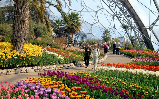 eden project flowers				